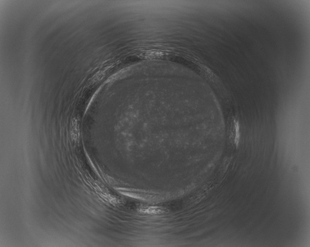 X0000085070467200703261236