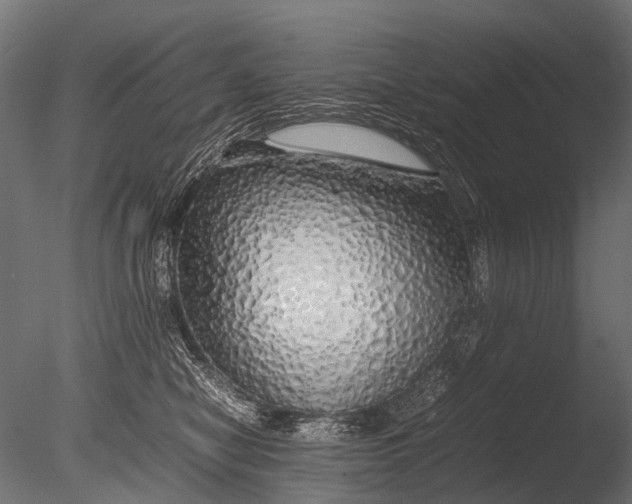 X0000085070470200703261236