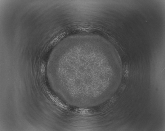 X0000085070472200703261236