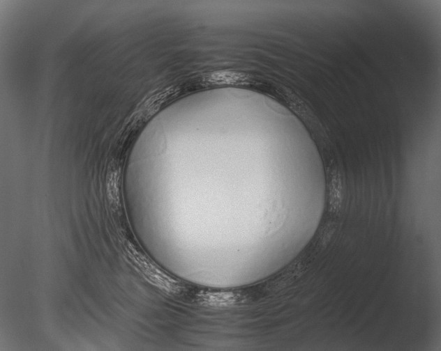 X0000085070473200703261236