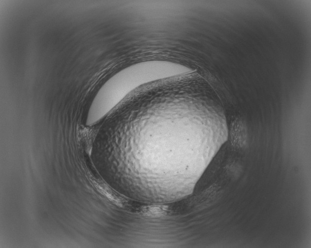 X0000085070474200703261236