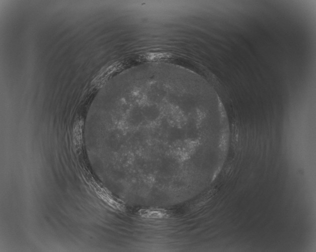 X0000085070475200703261236