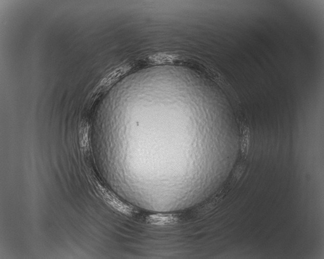 X0000085070477200703261236