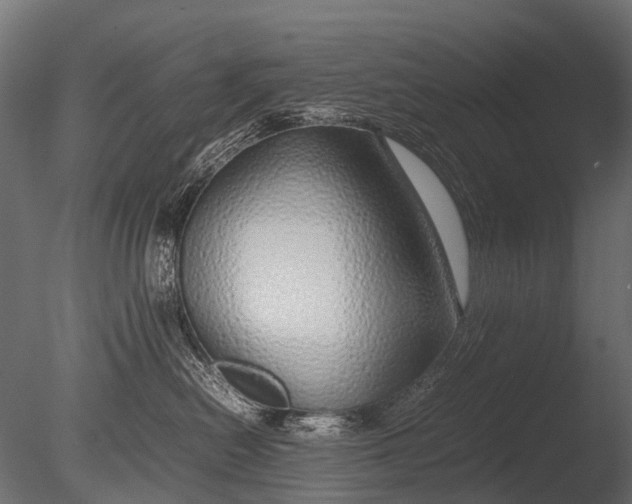 X0000085070478200703261236