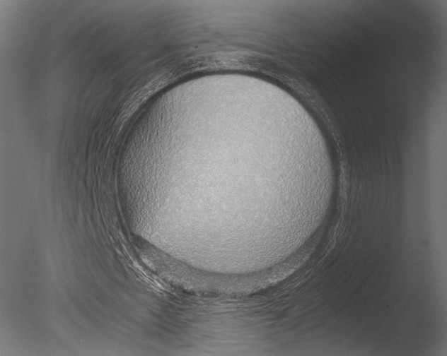 X0000085070481200703261235