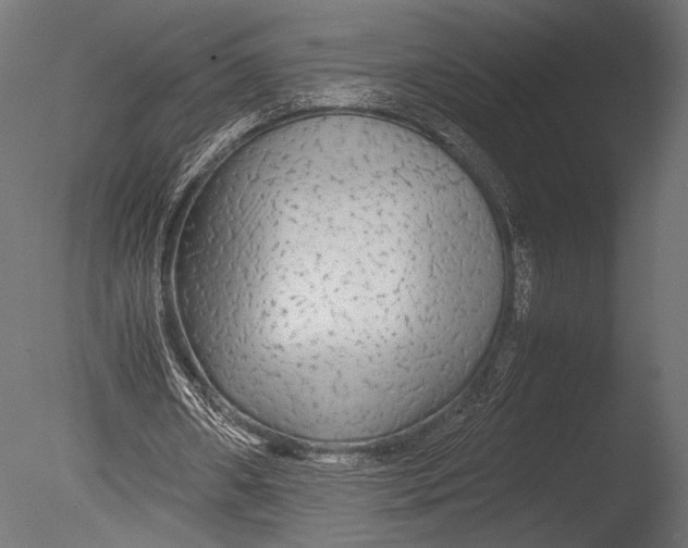 X0000085070482200703261235