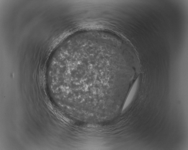 X0000085070487200703261235