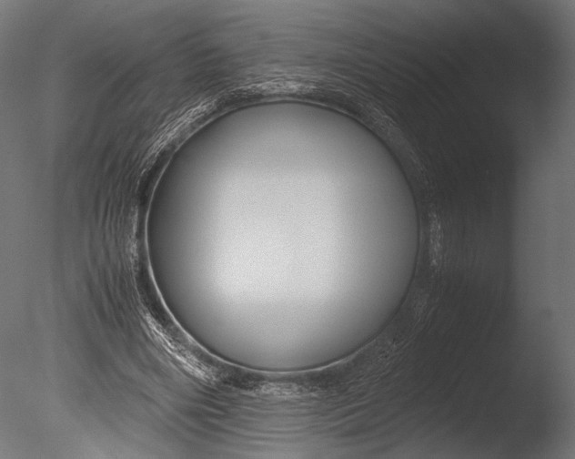 X0000085070490200703261235