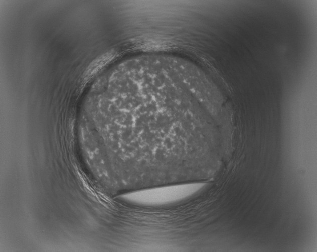 X0000085070491200703261235