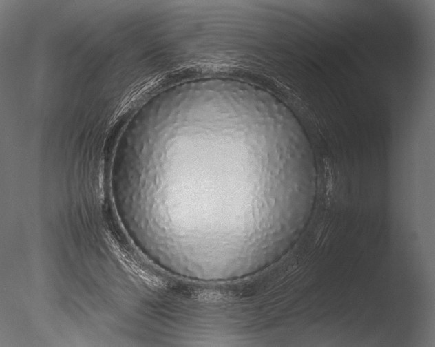 X0000085070494200703261235