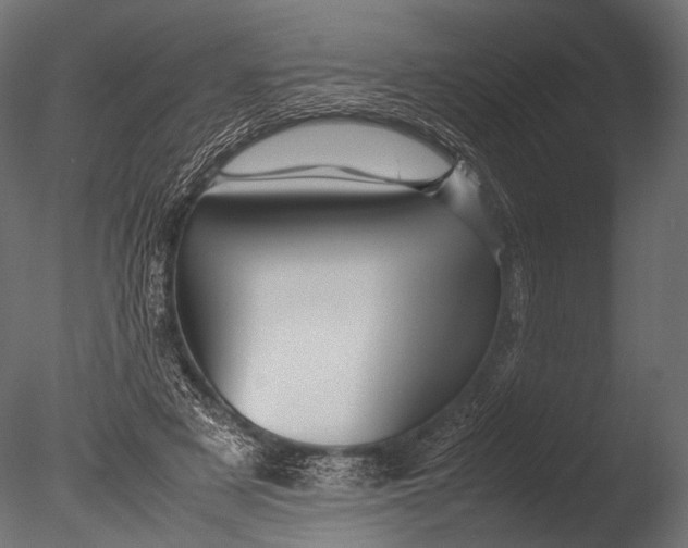 X0000085070497200703261235