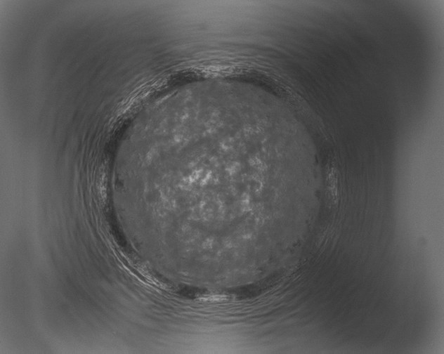 X0000085070499200703261235