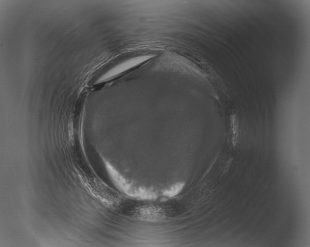 X0000085070500200703261235