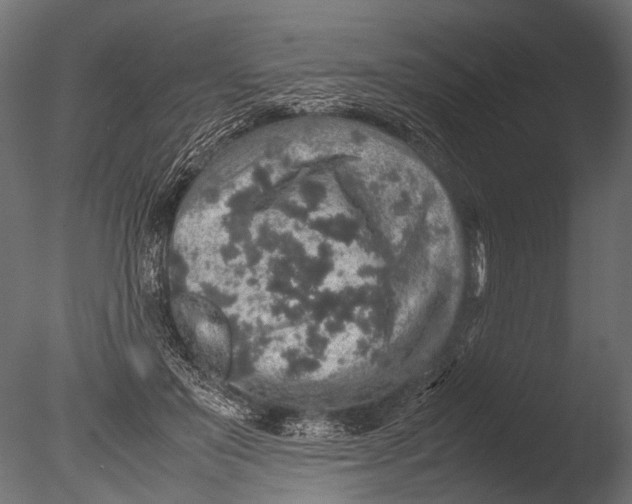 X0000085070503200703261235