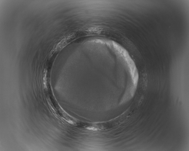 X0000085070504200703261235