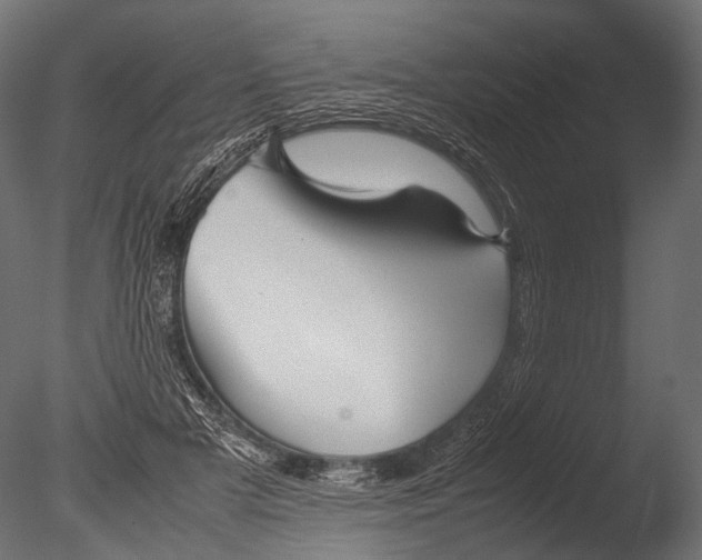 X0000085070505200703261235