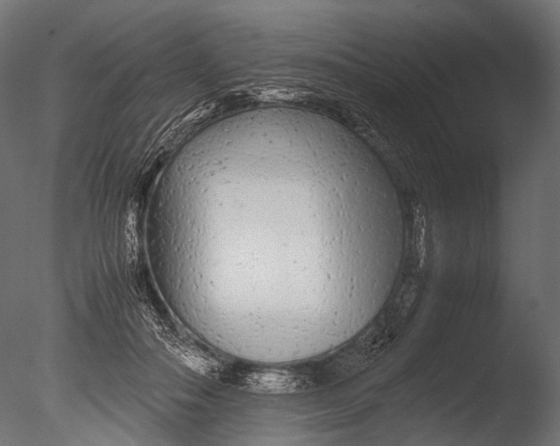 X0000085070506200703261235