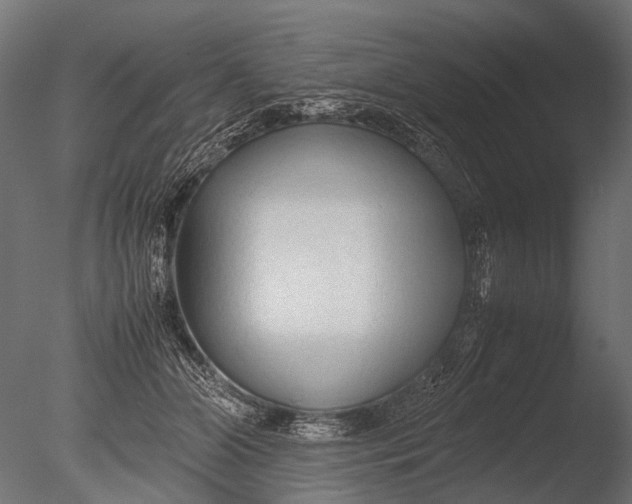 X0000085070510200703261235