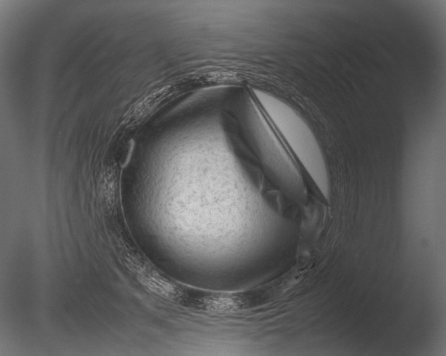 X0000085070513200703261235