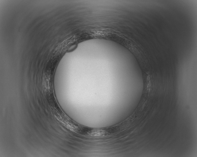 X0000085070514200703261235