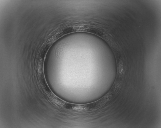 X0000085070515200703261235