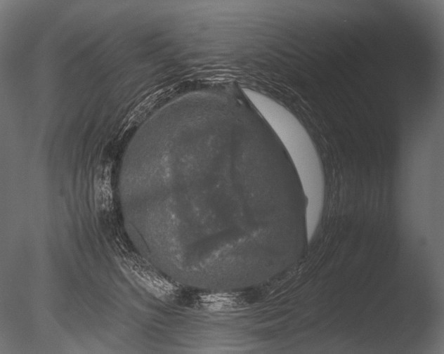 X0000085070516200703261235