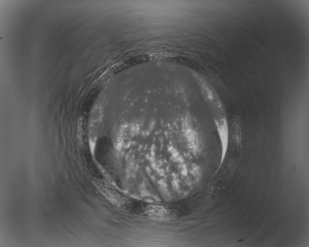 X0000085070519200703261235