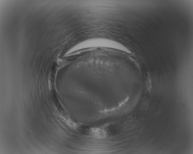 X0000085070520200703261235