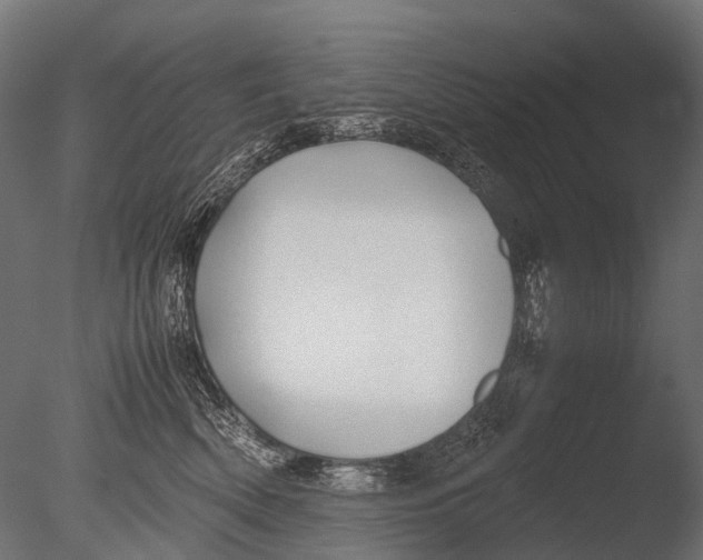 X0000085070522200703261235