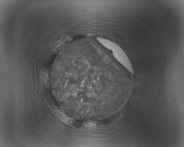 X0000085070523200703261235