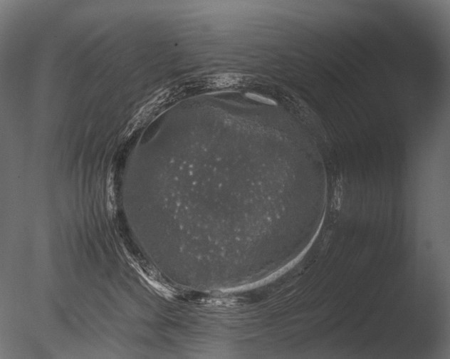 X0000085070524200703261235