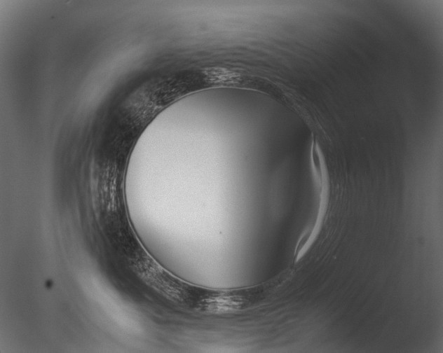 X0000085070525200703261235