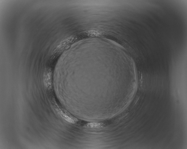 X0000085070526200703261235