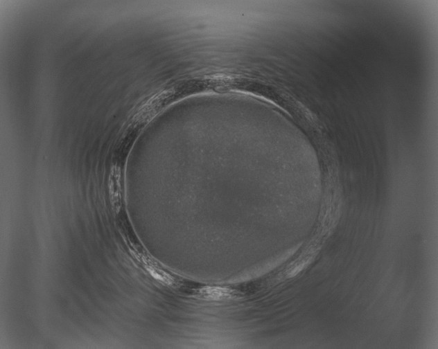 X0000085070528200703261235