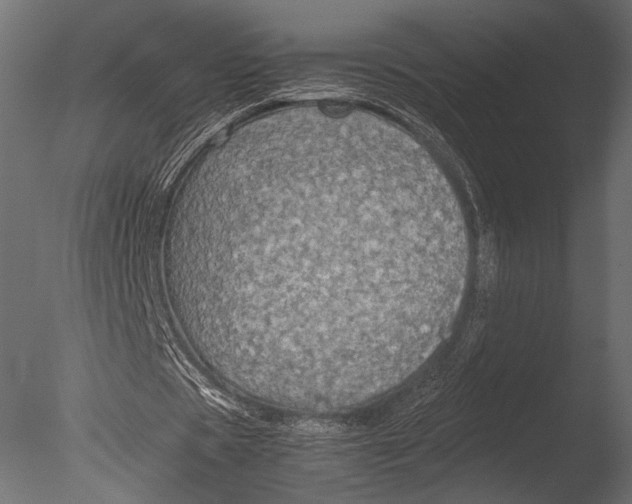 X0000085070529200703261234