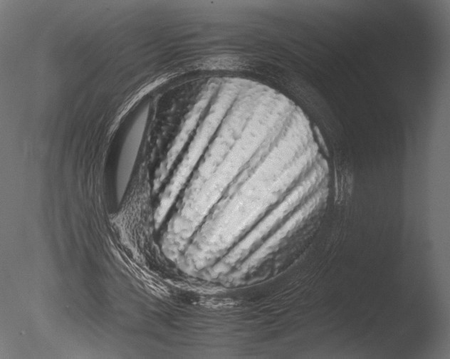 X0000085070531200703261234