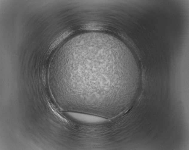 X0000085070533200703261234