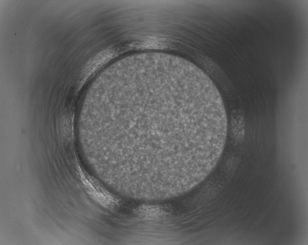 X0000085070534200703261234