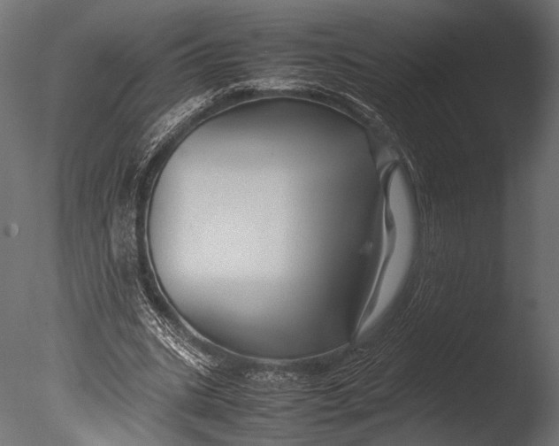 X0000085070535200703261234