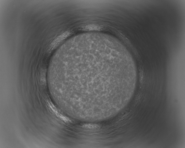 X0000085070537200703261234