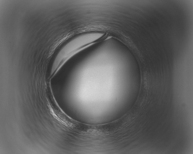 X0000085070538200703261234