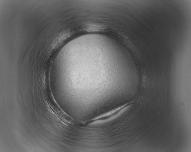 X0000085070539200703261234