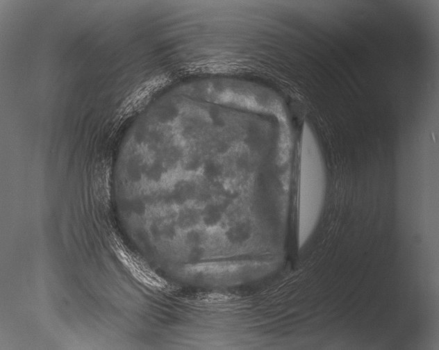 X0000085070542200703261234