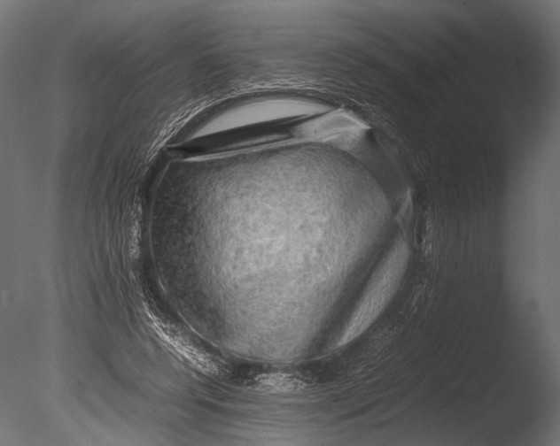 X0000085070544200703261234