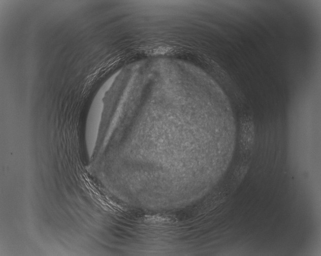 X0000085070545200703261234