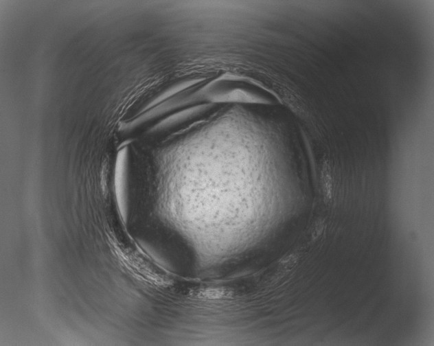 X0000085070546200703261234