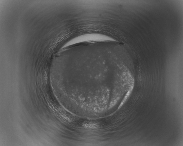 X0000085070551200703261234