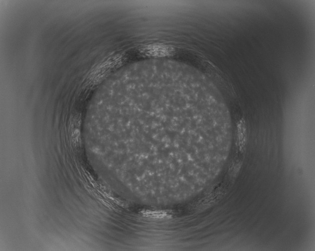 X0000085070553200703261234