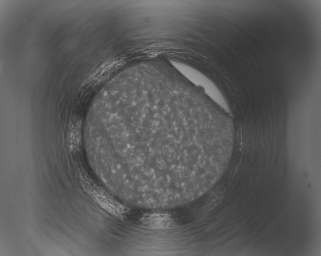 X0000085070554200703261234