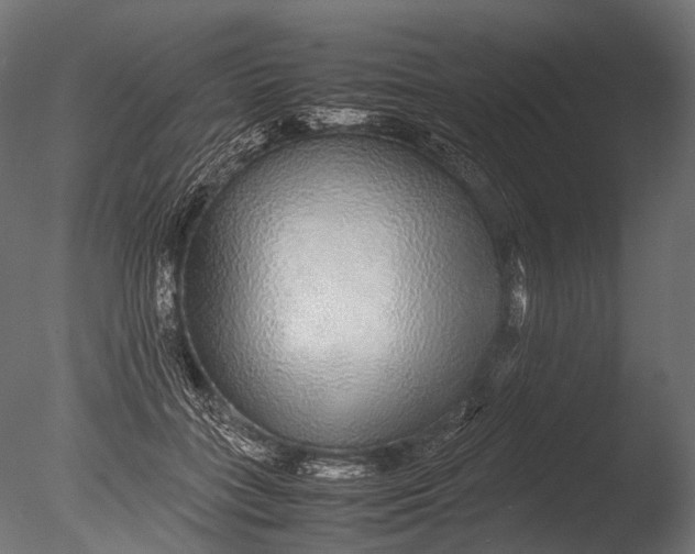 X0000085070555200703261234